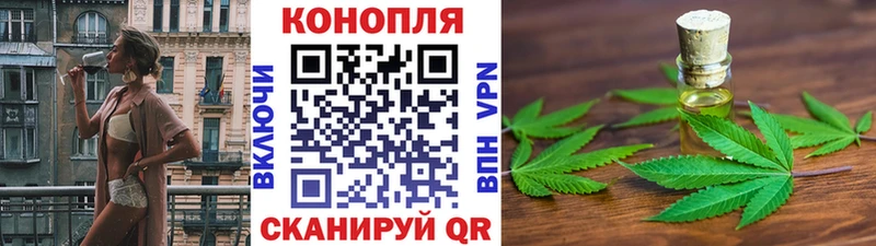 где купить наркоту  Жирновск  kraken зеркало  Конопля тримм 